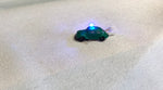 9046 - Polizeikäfer beleuchtet / Police beetle illuminated